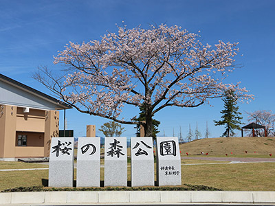桜の森公園
